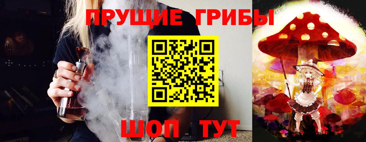 Псилоцибиновые грибы мицелий Минеральные Воды